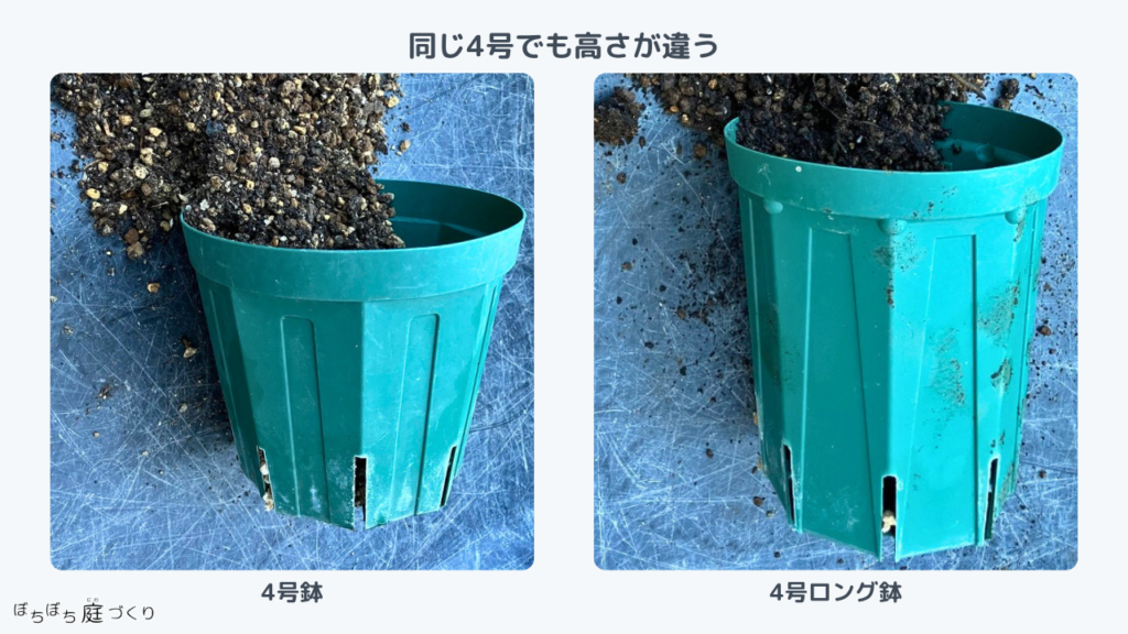 同じ4号でも高さが違う、スリットポット4号と4号ロング