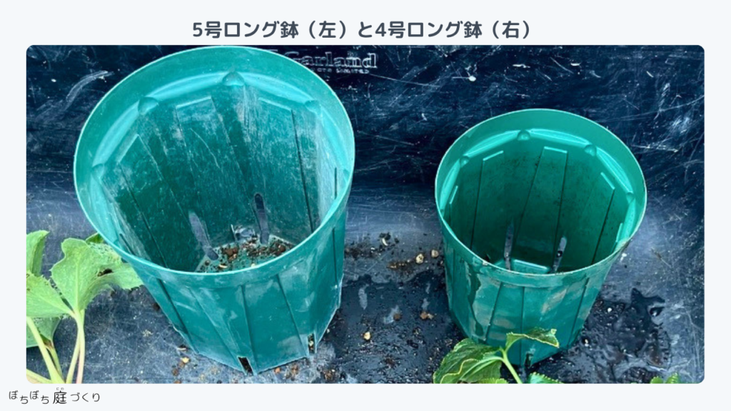 スリットポット5号ロングと4号ロングの大きさ比べ